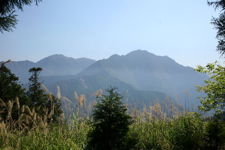 水社大山连走大尖山,过坑山.顺登猫囒山,后尖山二座台湾小百岳